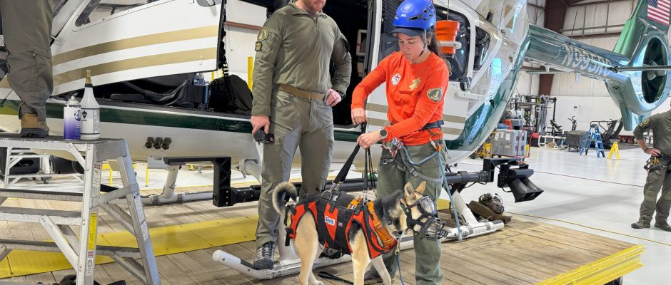 Anza Hoist Training